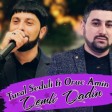 Tural Sedali ft Oruc Amin - Qemli Qadin 2024 mp3